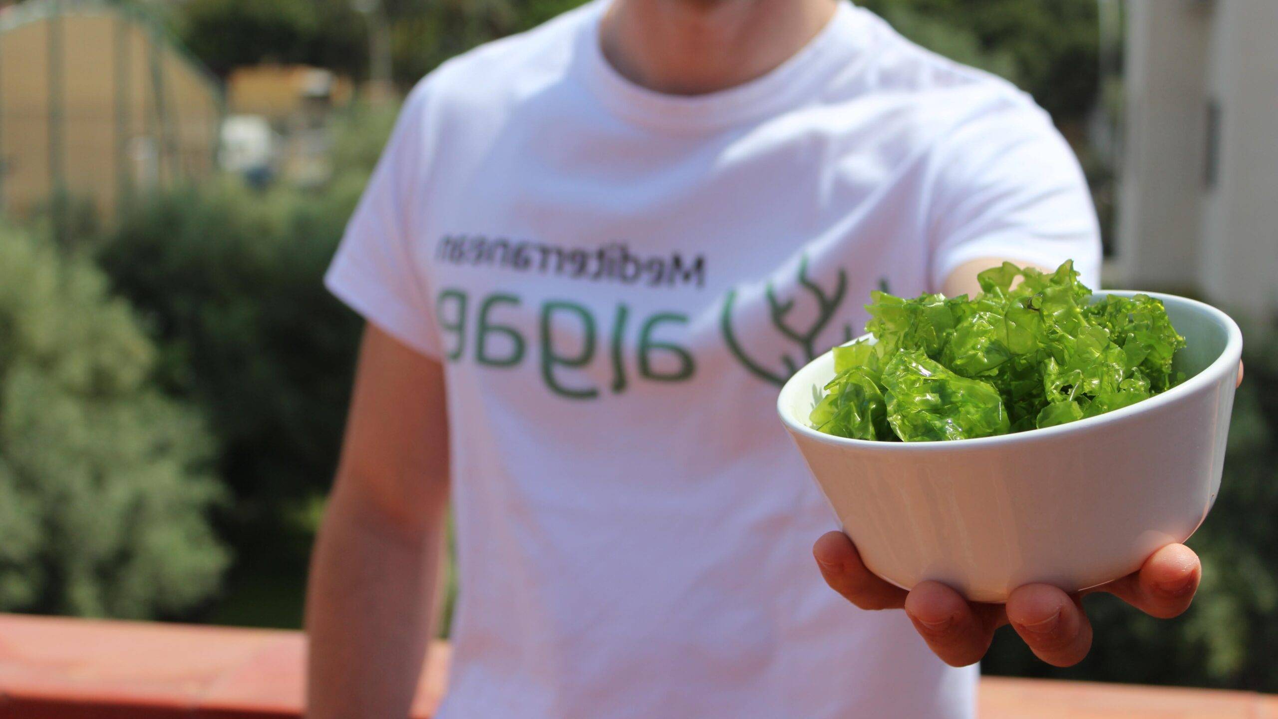 Copia de IMG_6519|EW3A8405-Editar copia